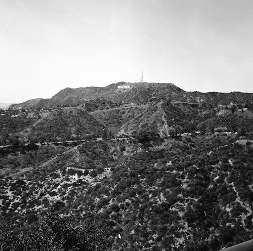 Grayscale Photo of Hollywood Sign on Mountain