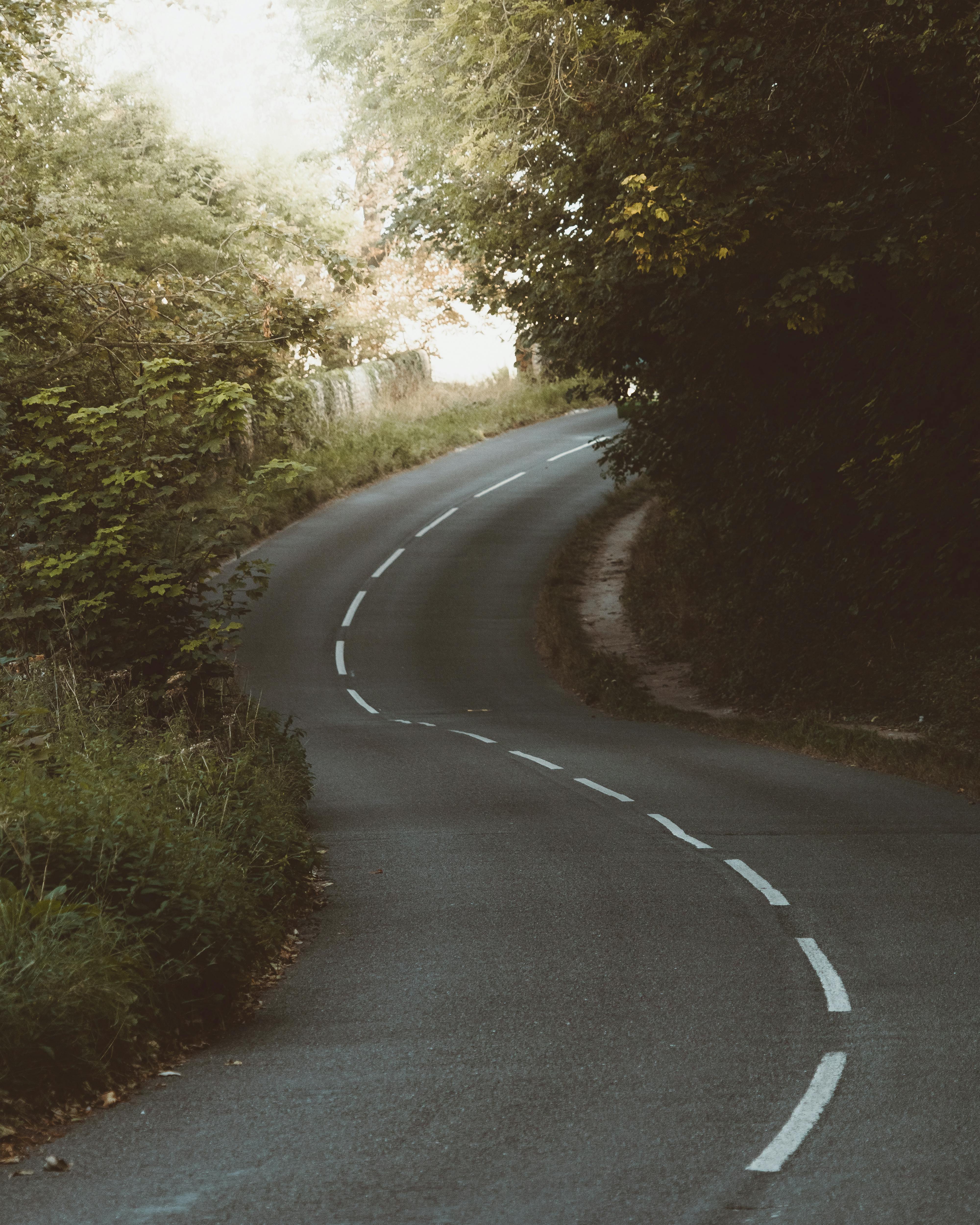 Gratuit Photos gratuites de arbres, asphalte, aventure Photos