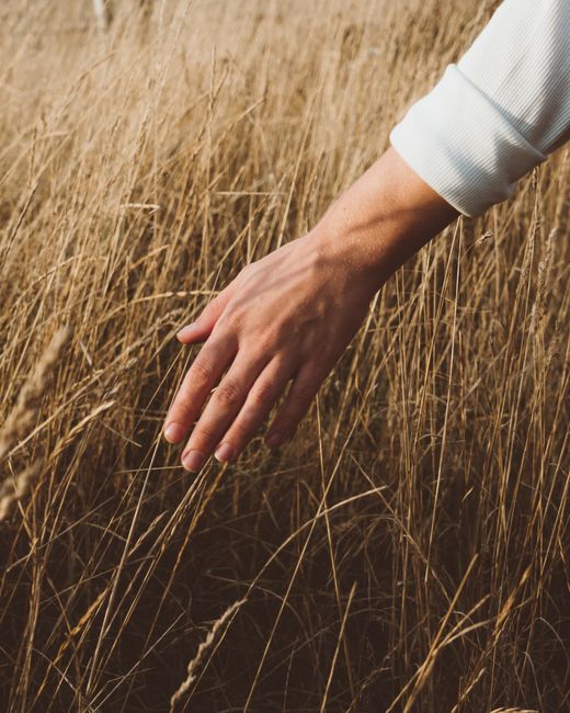 Faceless person wearing white outfit touching dry grass while strolling in rural meadow of autumn countryside