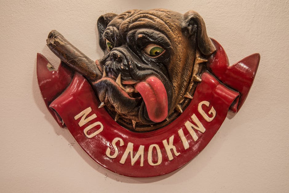 No Smoking Signage Mounted on Wall