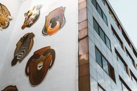 城市摩天大楼的侧面展示了创意动物壁画，呈现了多样化的野生动物