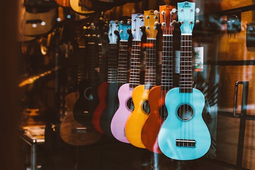 Free Colorful Guitars Hanging Behind the Glass Window Stock Photo