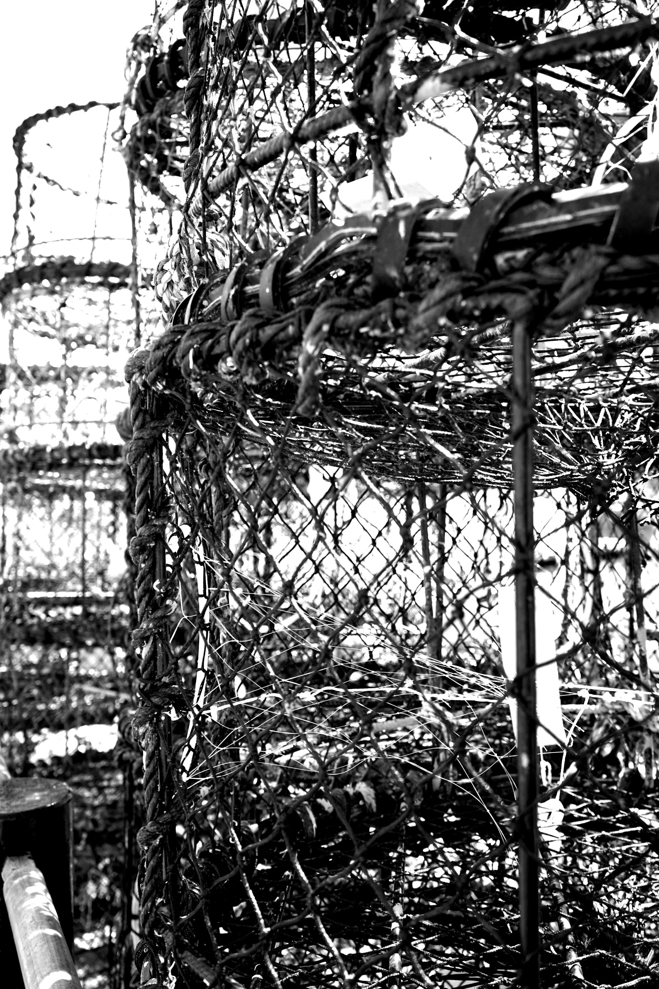 Free stock photo of black and white, fishing, fishing net