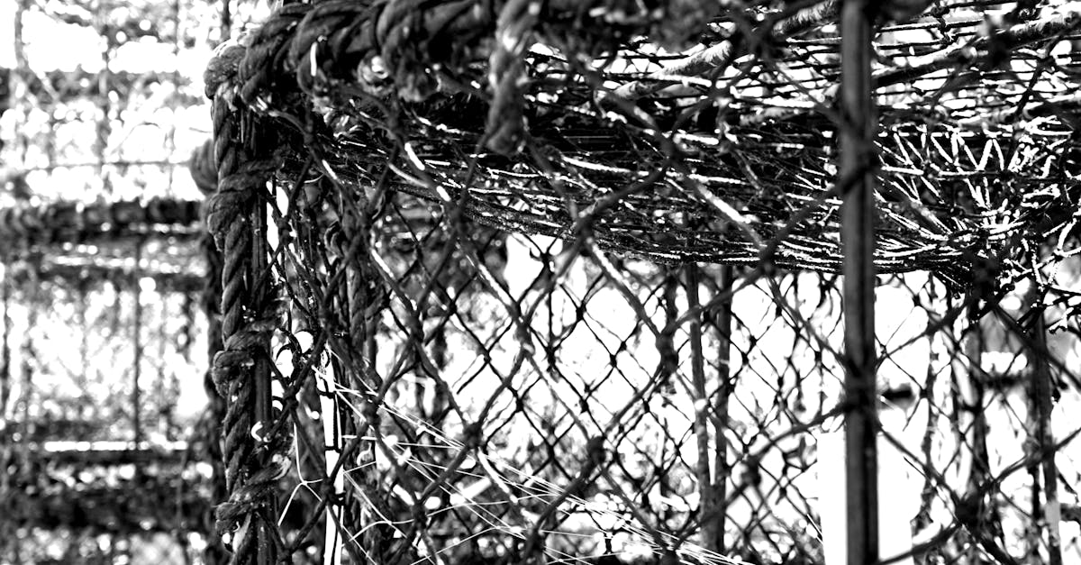 Free stock photo of black and white, fishing, fishing net