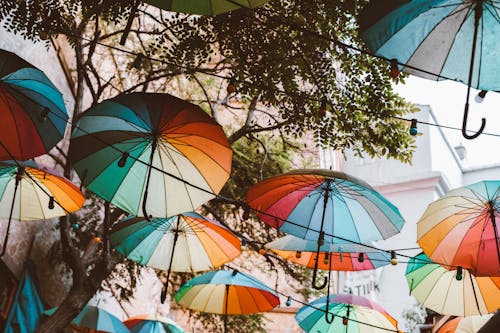 Colorful Umbrellas Hanging Above Street