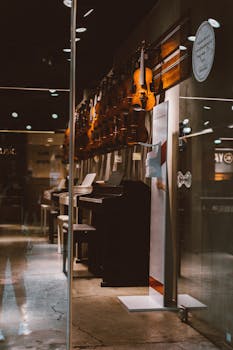 Showcase of a music store interior featuring violins and a piano elegantly arranged.