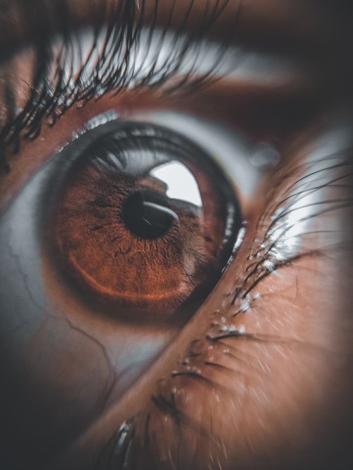 Free Exploring the intricate details of a human eye in a close-up shot, highlighting eyelashes. Stock Photo