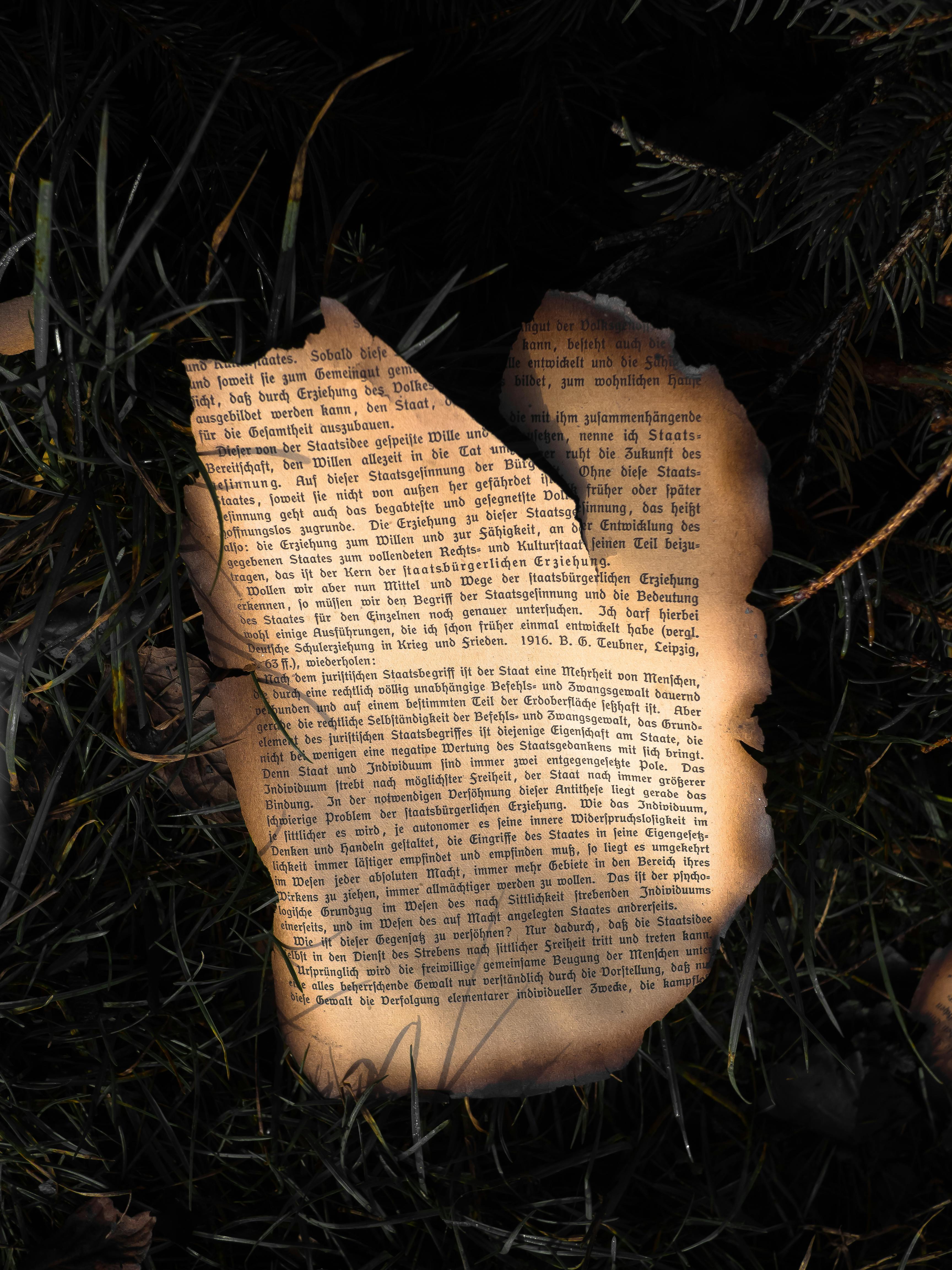 A burnt paper sheet with text lies on grass illuminated by soft sunlight.