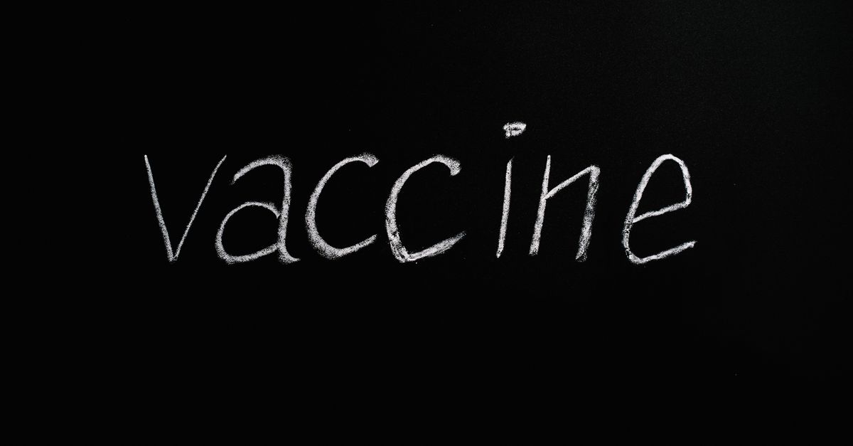 New Zika Virus Inhibitor Shows Promise in Mouse Studies