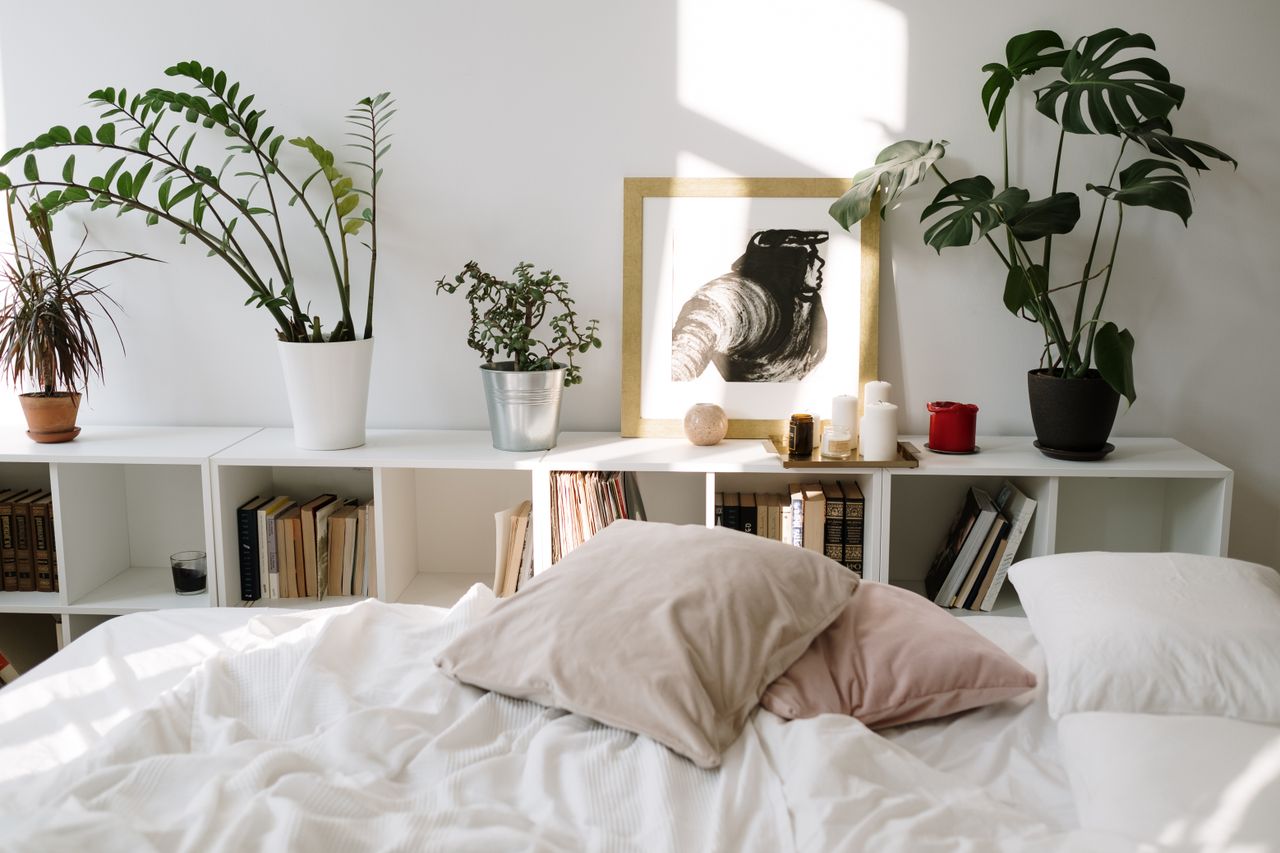 sunlit-bedroom-plants Sunlit bedroom with plants and artwork above the bed