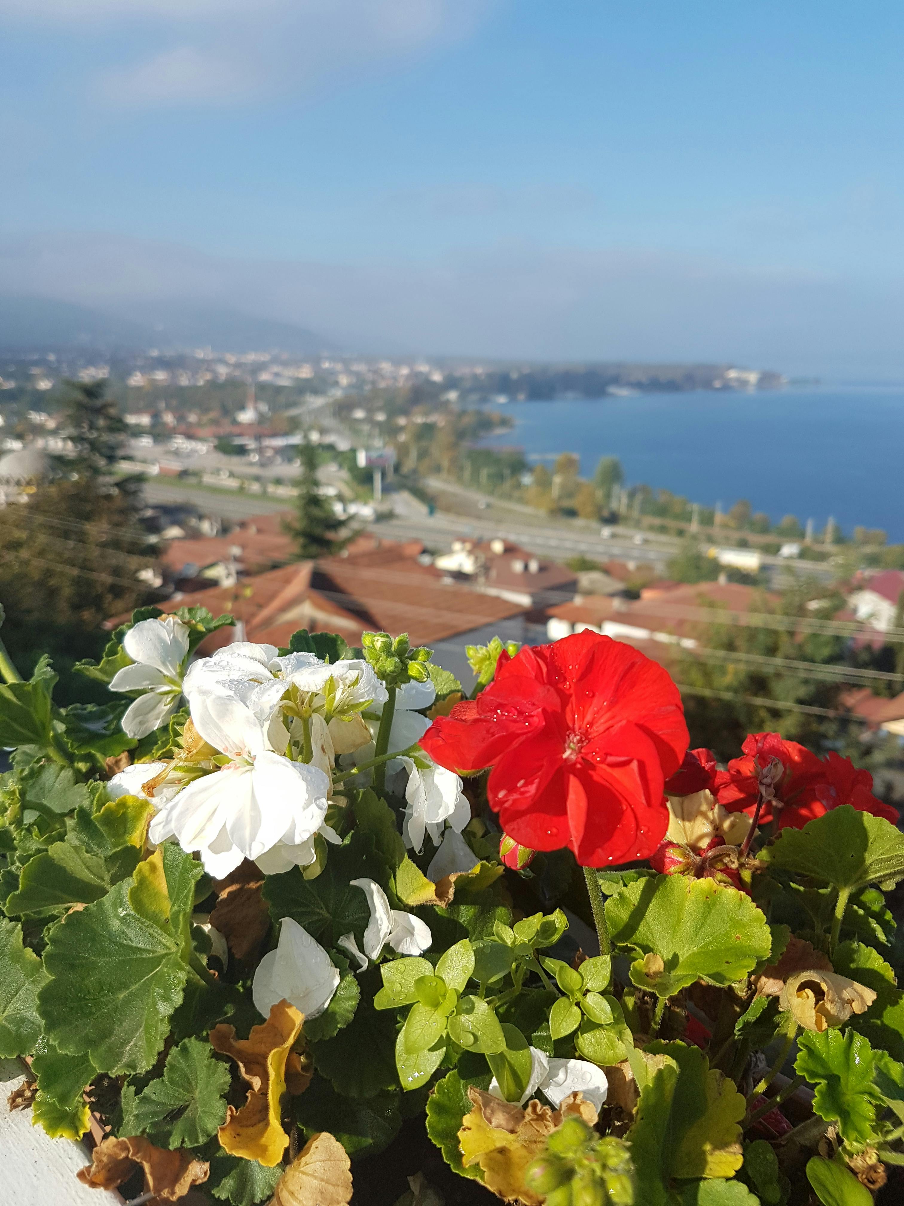 Yüksek Kolesterol: Sessiz Tehlike, Nedenleri ve Yönetimi