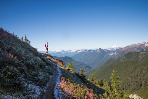 Imagine de stoc gratuită din alpinist, arbori, aventură