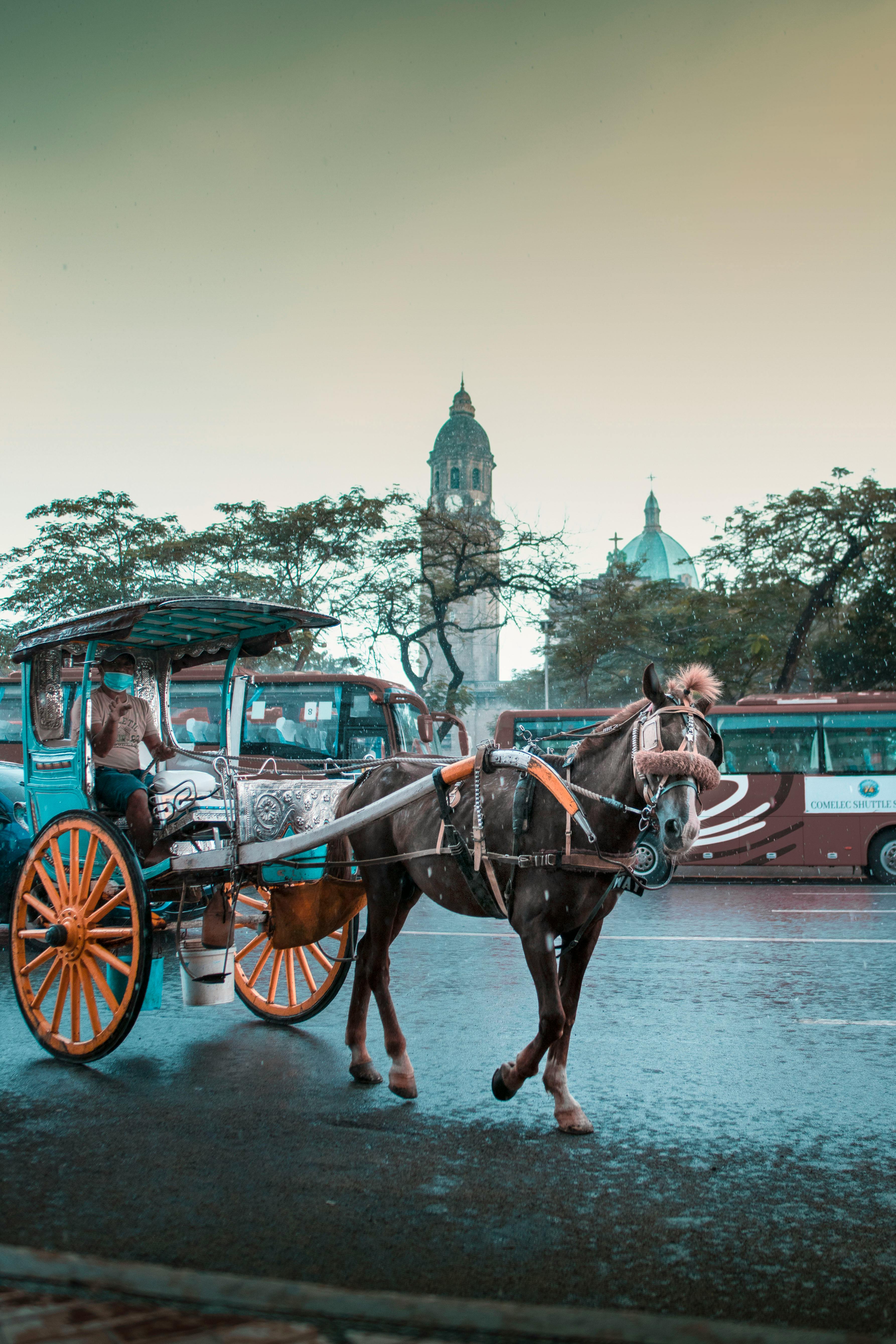 Free A horse-drawn carriage travels along a city street, capturing traditional transportation in an urban setting. Stock Photo