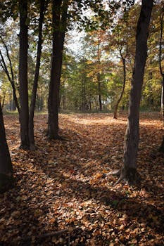 Image by Masha Shklyaeva