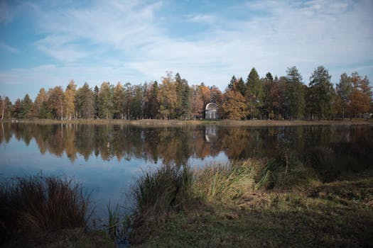 Image by Masha Shklyaeva