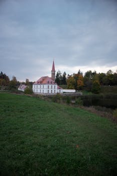 Image by Masha Shklyaeva