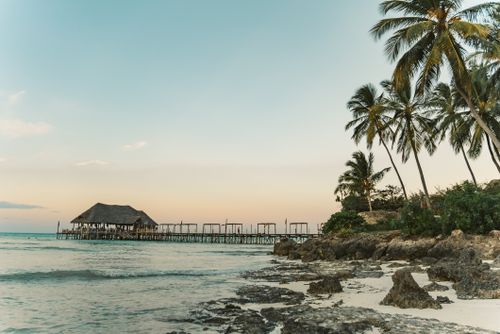 Free Stunning tropical beach in Zanzibar with palm trees and a wooden pier during sunset, offering a serene escape. Stock Photo