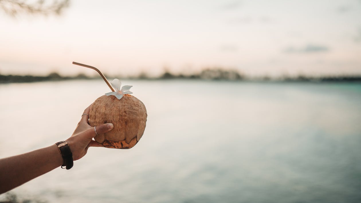 Free Selective Focus Photo of a Person Holding a Coconut Drink Stock Photo