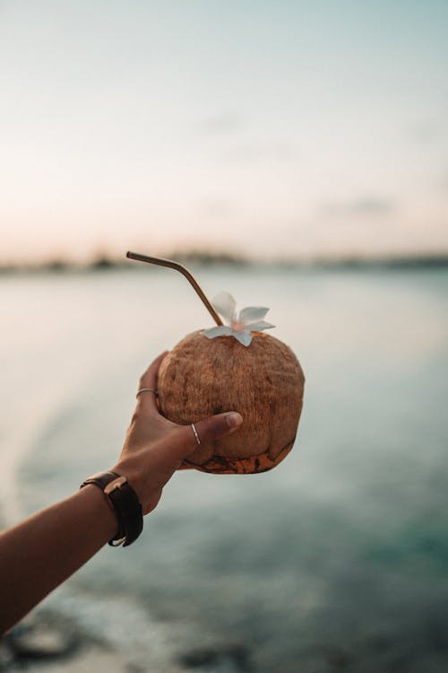 Person Holding a Coconut Drink with a White Flower Near the Straw