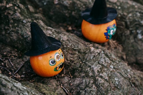 Funny Halloween pumpkins on tree roots