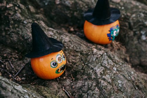 Free High angle of decorated pumpkins with stickers and small hats on tree in park Stock Photo