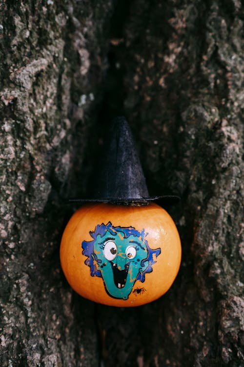 From above of funny Halloween pumpkin with hat and scary sticker on roots of tree in park