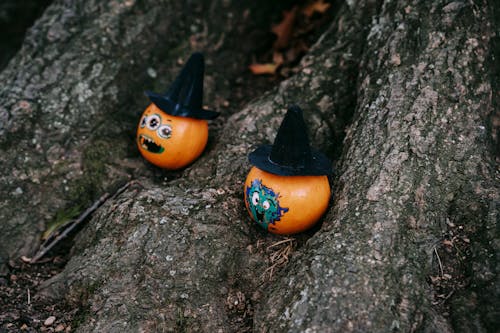High angle of funny pumpkins with stickers and decorative hats on roots of tree in forest