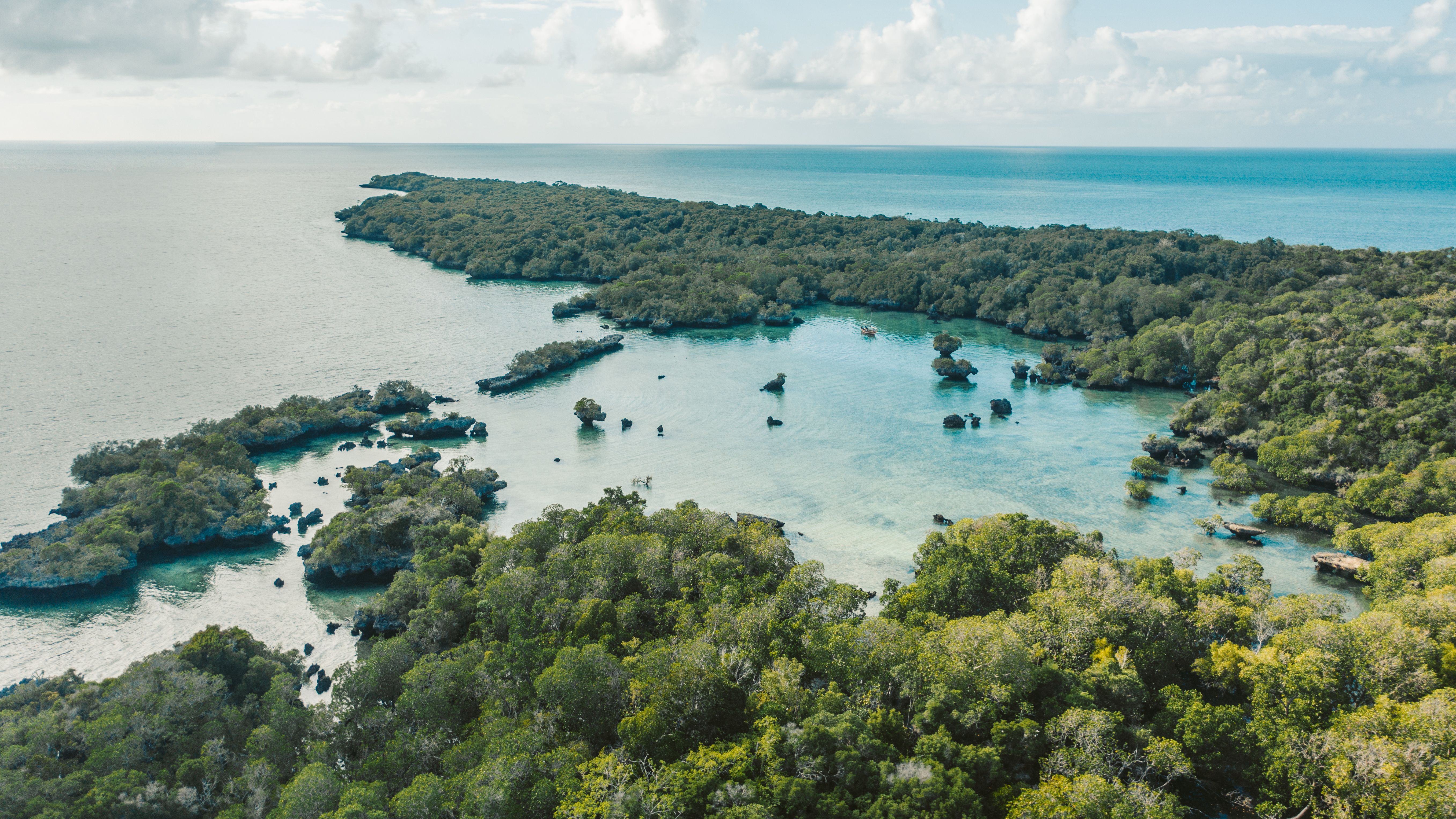 A stunning aerial view of Zanzibar's lush coastline and clear blue waters.