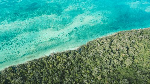 Free Aerial view of Zanzibar's turquoise ocean meeting lush green forest. Stock Photo