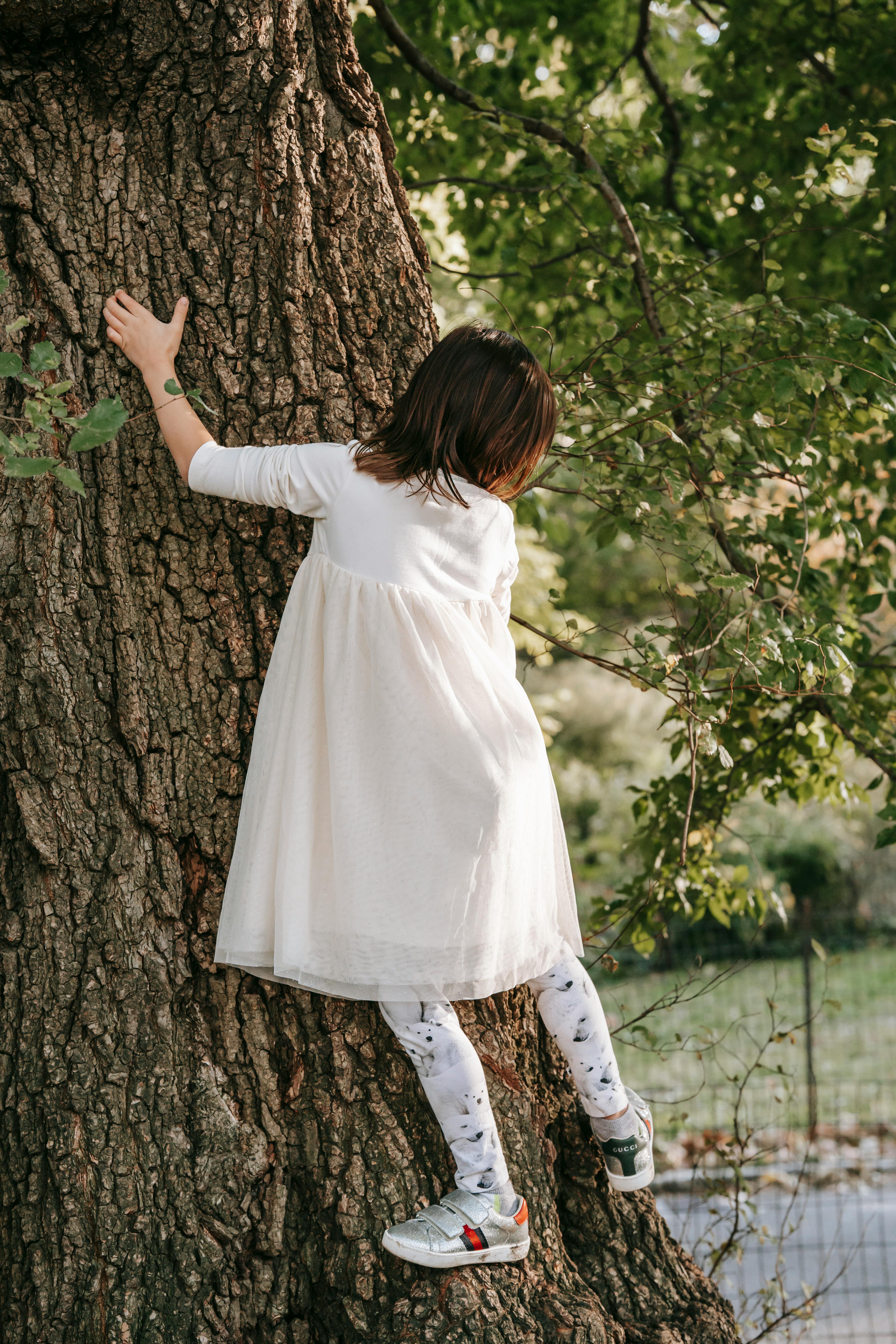 little girl climbing on tree trunk