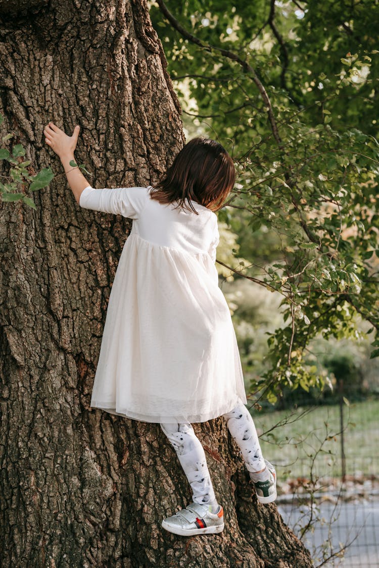 Little Girl Climbing On Tree Trunk