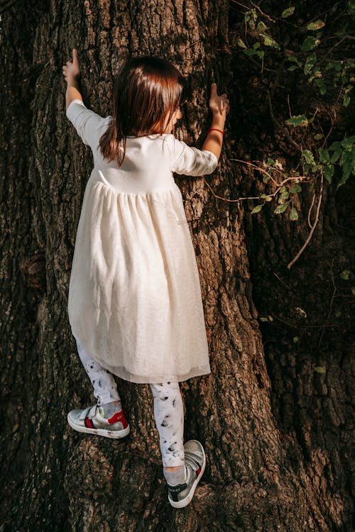 Back view of full body adorable little girl in white dress climbing trunk of tree in park