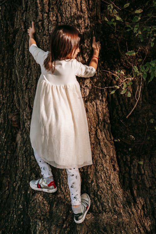 Free Back view of full body adorable little girl in white dress climbing trunk of tree in park Stock Photo