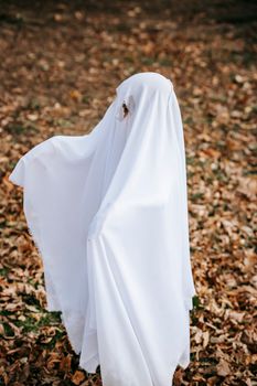 一个穿着白色幽灵服装的孩子站在公园里，四周环绕着秋叶