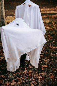 在秋季公园的万圣节活动中，一个匿名的孩子穿着神秘的幽灵服装