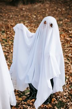 万圣节那天，一个穿着白色幽灵服装的孩子站在秋天的公园里，让人无法辨认