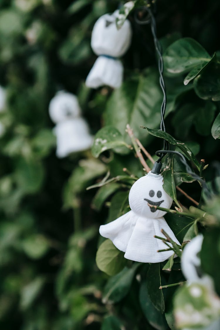 Scary Garland On Shrub In Yard