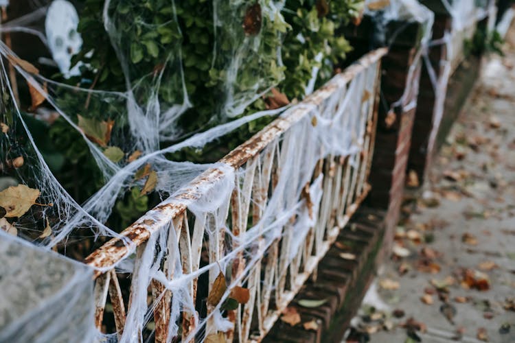 Halloween Decorations On Fence Near Sidewalk