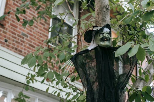 Decorative witch on trunk of tree