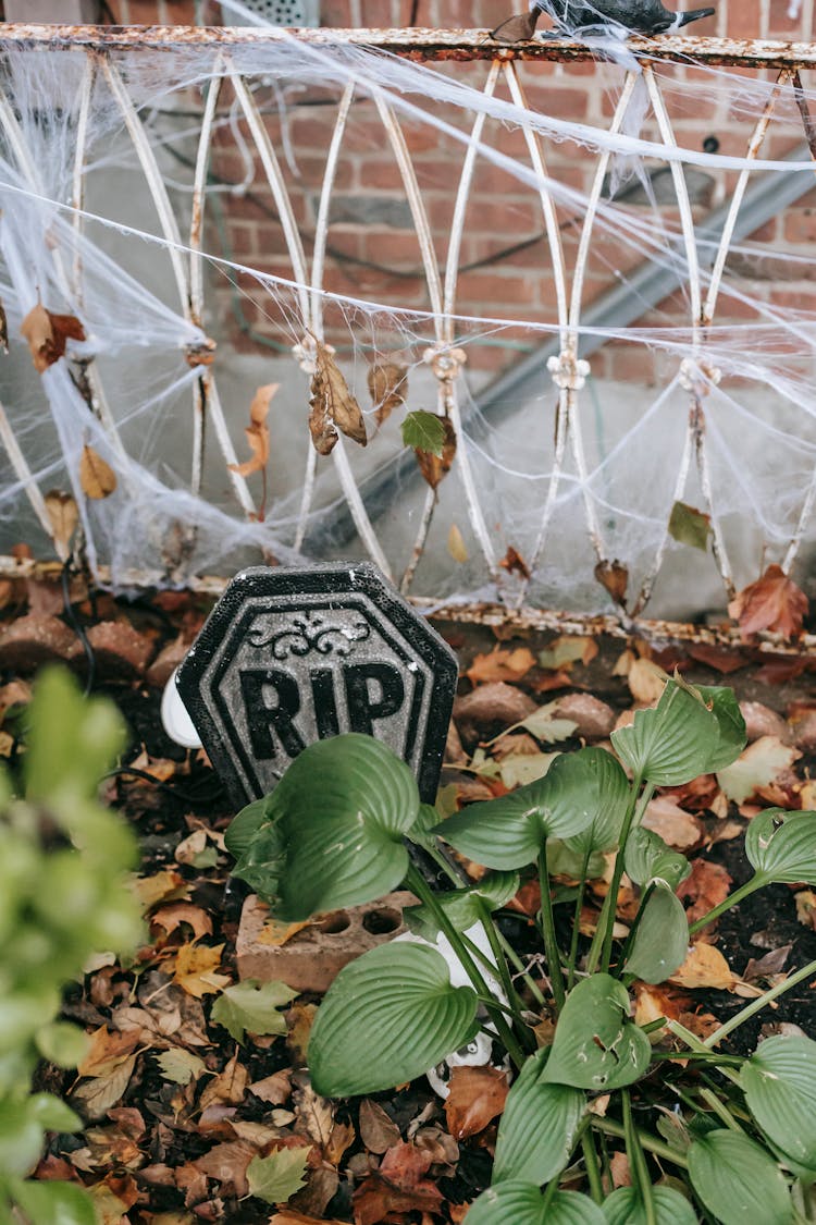 Fence With Web And Grave Decoration On Halloween