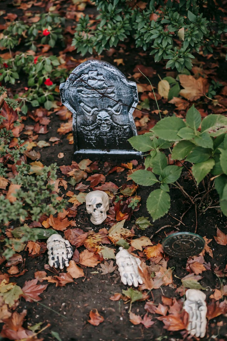 Yard With Gravestone And Skeletons For Halloween