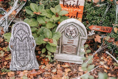 Fake gravestone with web around placed on ground near signs Trick or treat and home sweet home in autumn day in Halloween