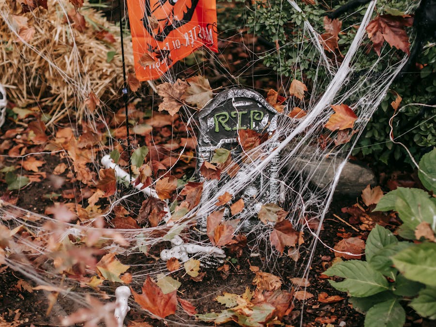 Do fake followers get removed?