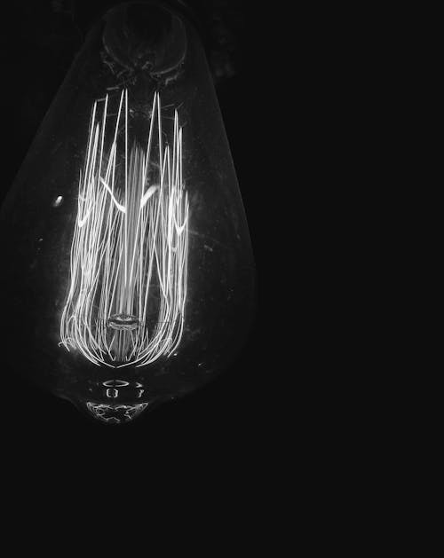 Grayscale Photo of a Light Bulb