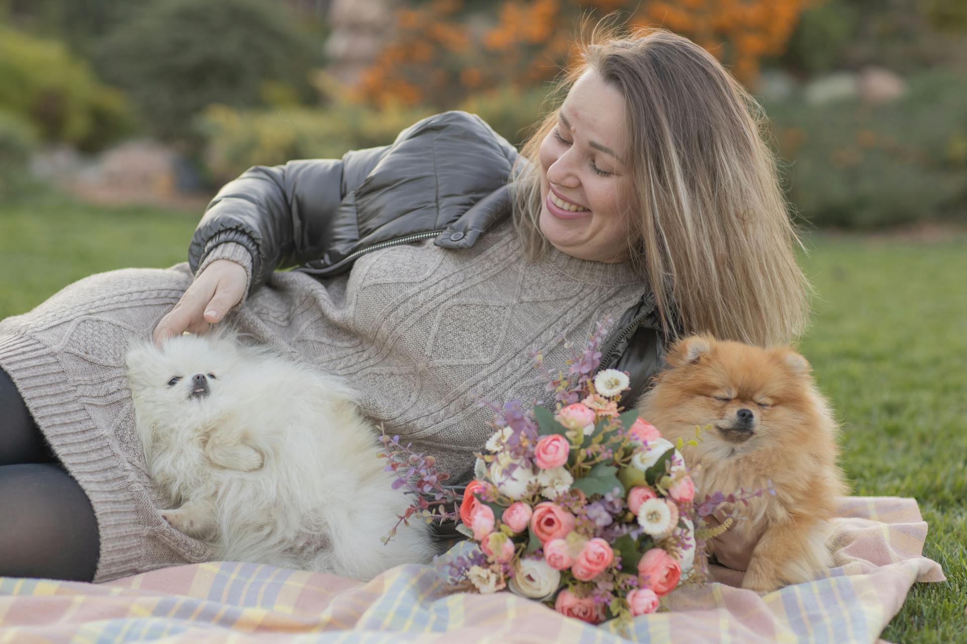 Woman with  Pomeranian Dogs Lying on a Blanket