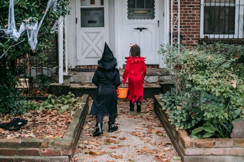 Back view of little children in traditional Halloween costumes going to front doors of semi detached red brick house playing trick or treat custom