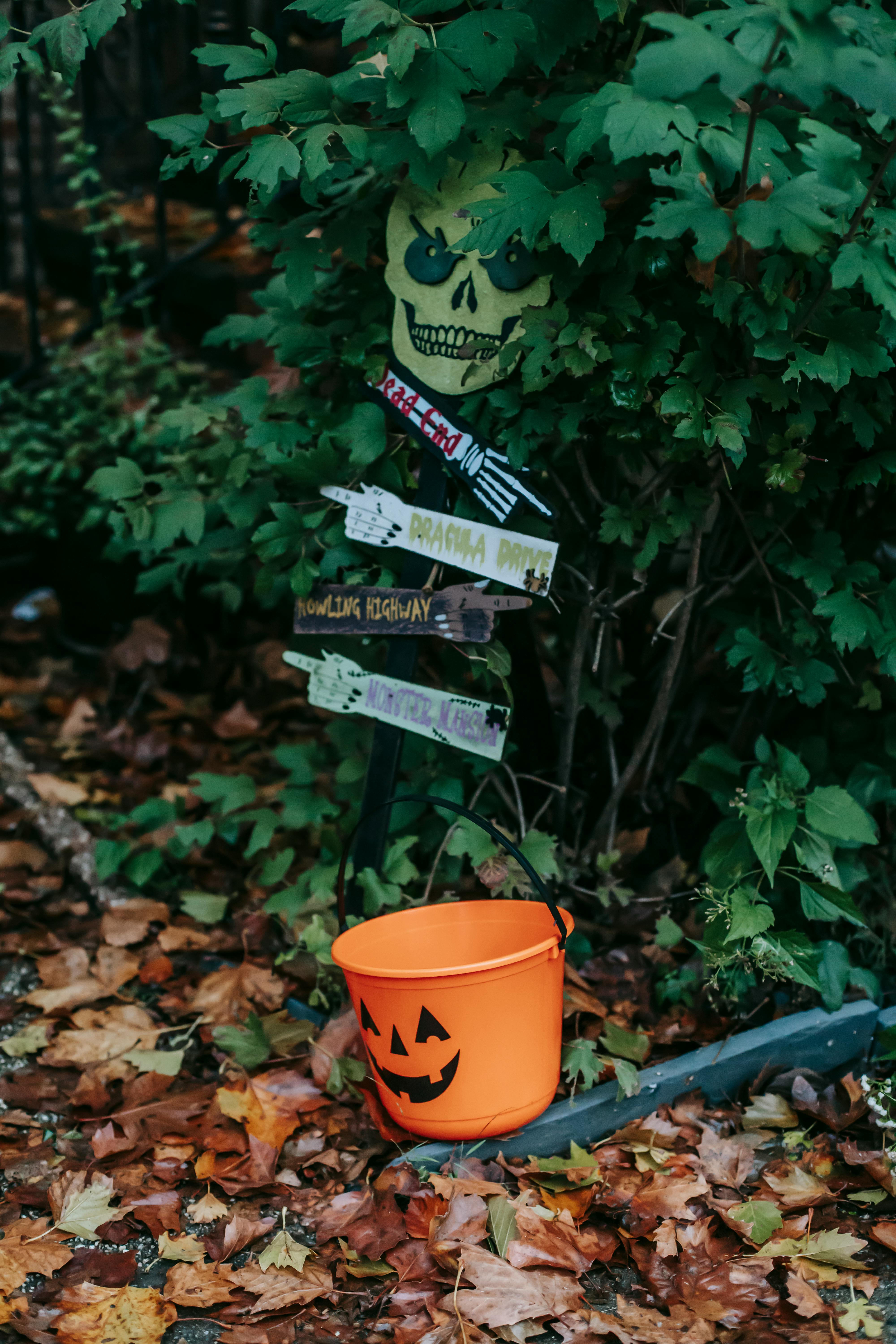 秋叶环绕着幽灵般的万圣节装饰：头骨、标志和南瓜桶