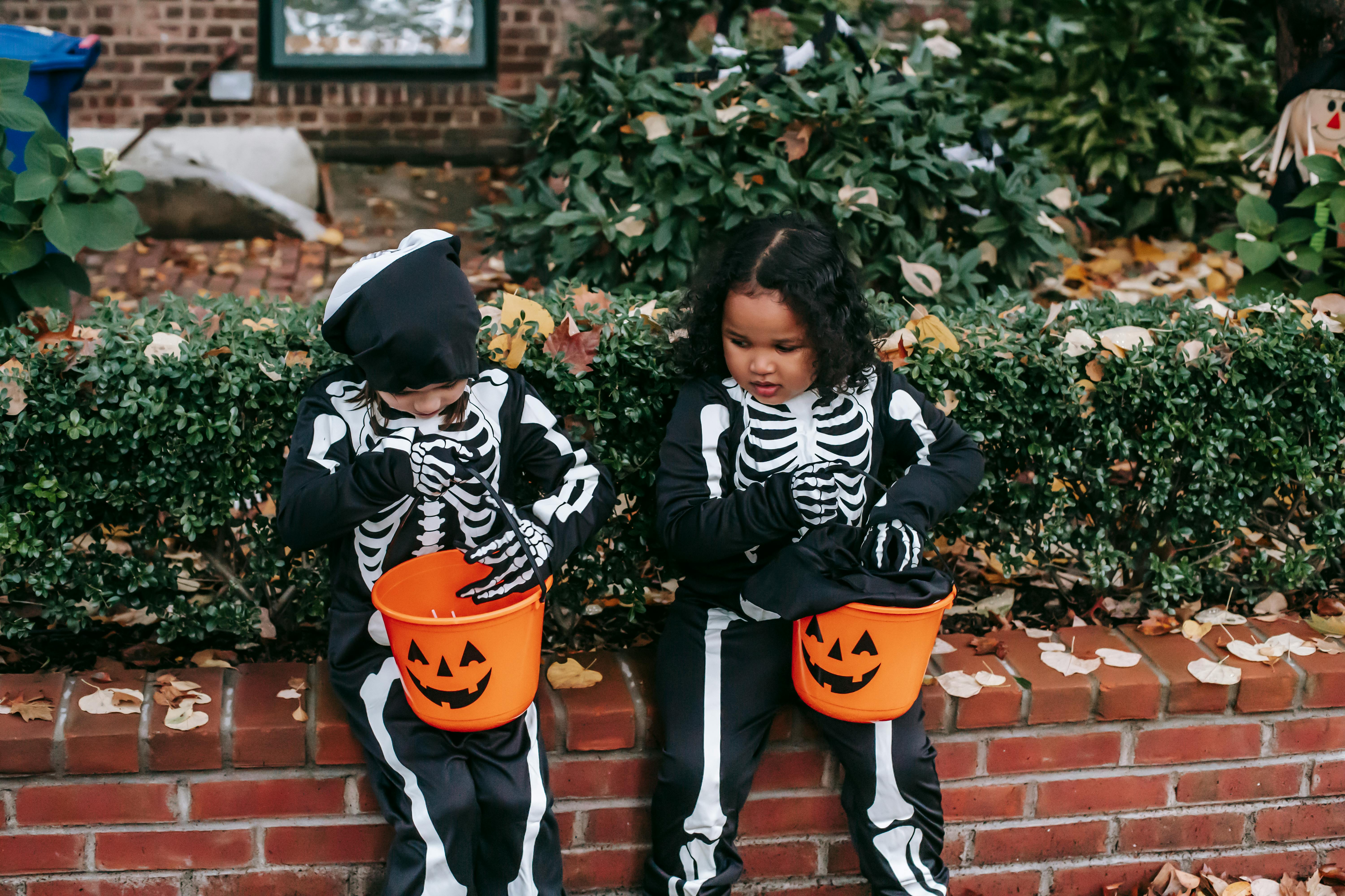 concentrated preschool girls in skeleton costumes gathering candies in buckets