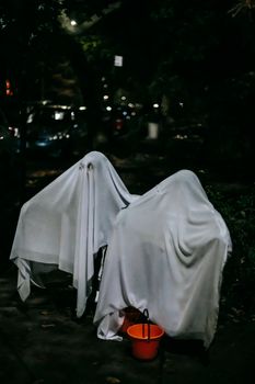 万圣节之夜，两个孩子打扮成收集糖果的鬼魂