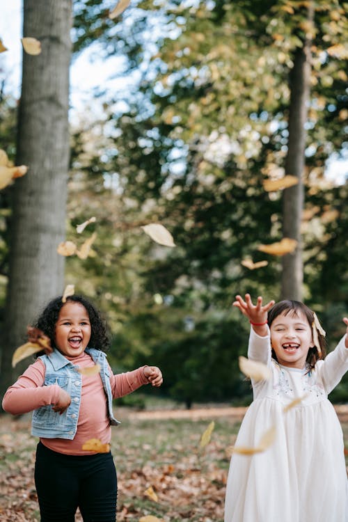 Free Delighted little multiethnic girls in casual wear throwing yellow fallen leaves while playing together in autumn park on clear day Stock Photo